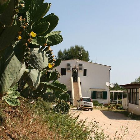 Agriturismo Affittacamere Atlhos ויאסטה מראה חיצוני תמונה