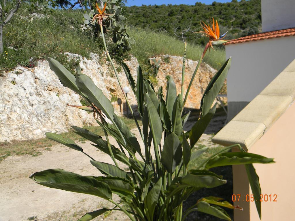 Agriturismo Affittacamere Atlhos ויאסטה מראה חיצוני תמונה