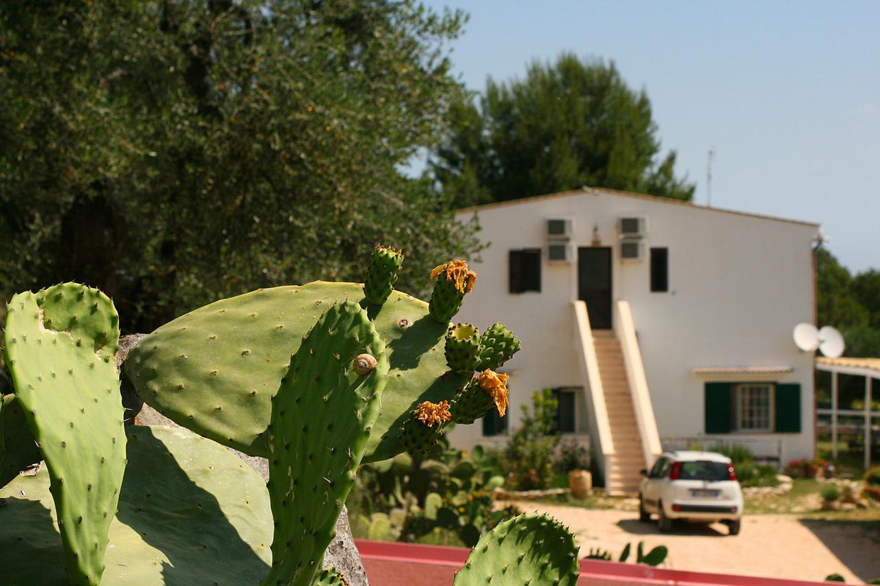 Agriturismo Affittacamere Atlhos ויאסטה מראה חיצוני תמונה