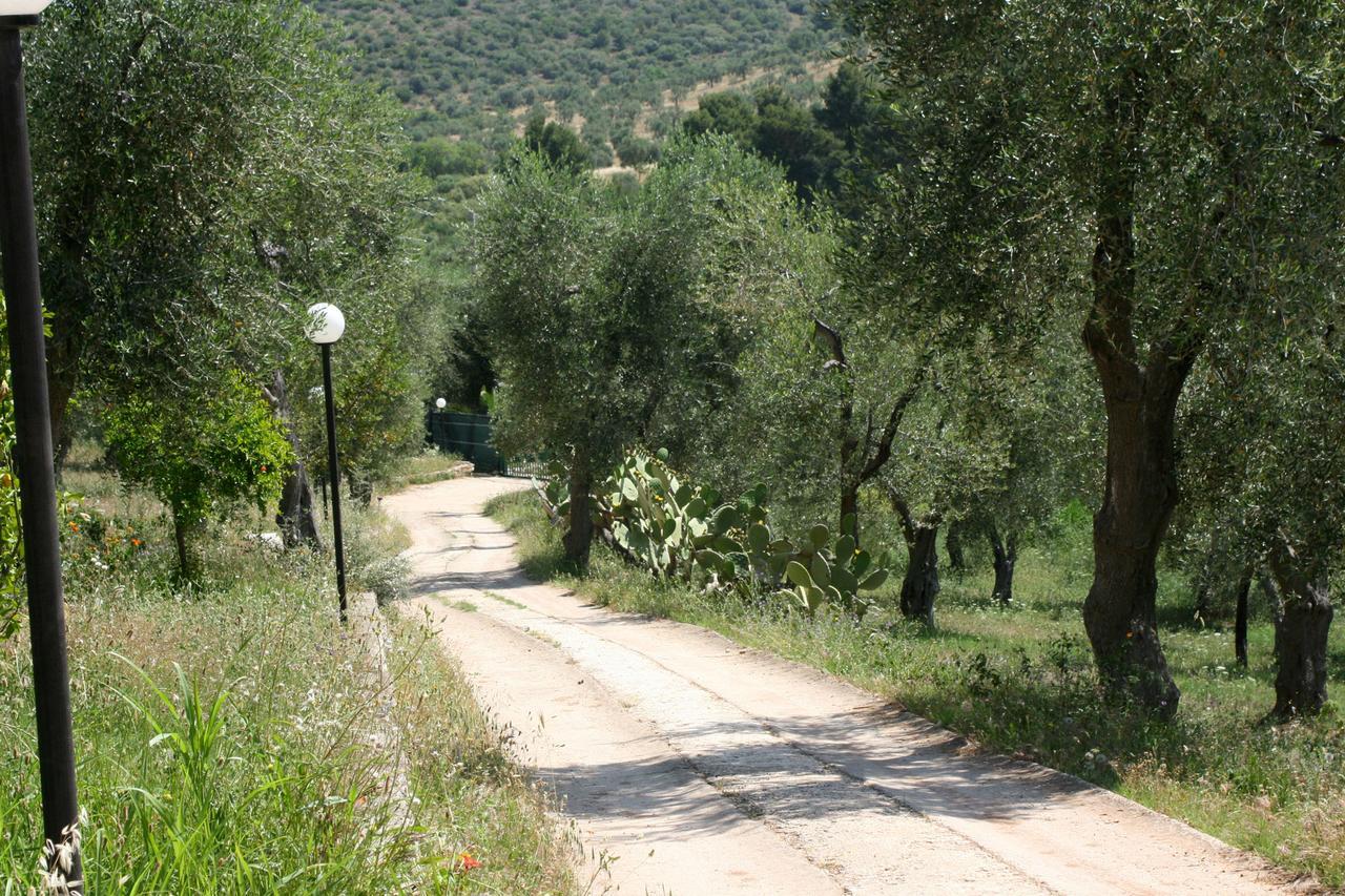 Agriturismo Affittacamere Atlhos ויאסטה מראה חיצוני תמונה