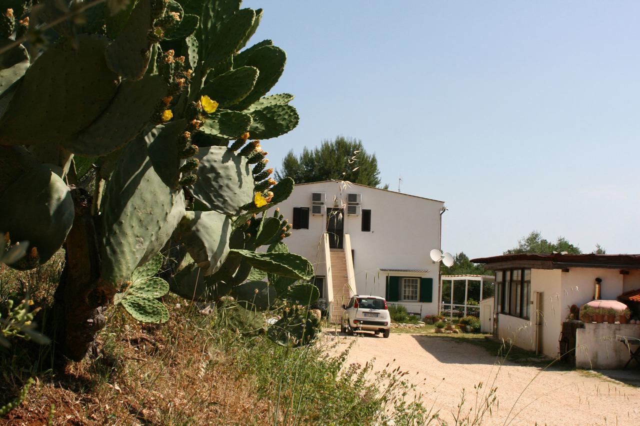 Agriturismo Affittacamere Atlhos ויאסטה מראה חיצוני תמונה